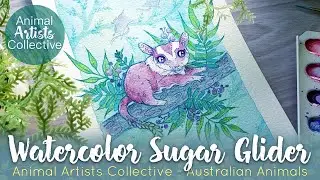 Australlian Sugar Glider Watercolor Painting ~ AAC