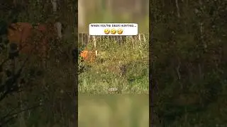🤣🦌What Would You Do While Deer Hunting? #lol #funny #animals