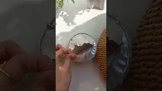 mixit крем баттер для тела с ароматом кокоса  , спа масло #лето #spa