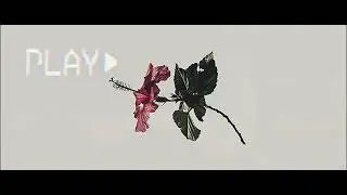 NPS - ช่วยทำให้มั่นใจหน่อย Feat.NomerZy & Emmaflow (Prod.nvr,frvr.)