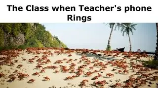 School Slander 2 #memes