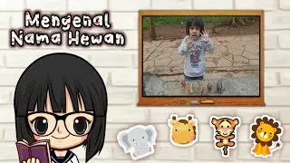 Belajar Mengenal Nama-Nama Hewan dan Keunikannya Bareng Zavier Yuk!