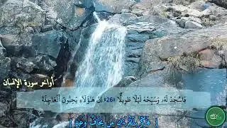 🥺الله الله الله رفقا بالقلوب يا صاح 🥺اللهم اجعل القرآن العظيم ربيع قلوبنا ونور صدورنا 🌹🎧