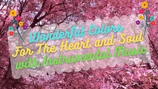 Wonderful Colors For The Heart and Soul with Instrumental Music