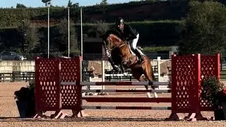 Con Cuore SSH jumping great in 5 year old 1.15m this morning!