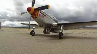 Hot Ramp Cruise 2017