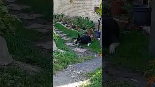 Фродя... покажи где палочка?))👍