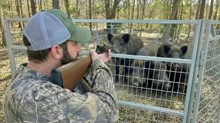 Helping My Community Fight the Wild Hog Invasion