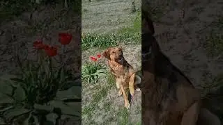 Линда ❤