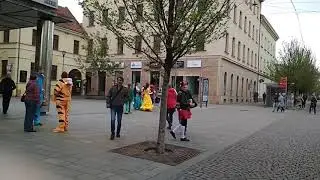 Школьницы в Брно празднуют окончание гимназии