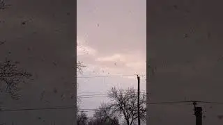 Slo mo snow