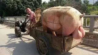 ТЫ ТОЖЕ ХОЧЕШЬ ПОСМОТРЕТЬ ТУДА█▬█ █ ▀█▀ Хрюшка
