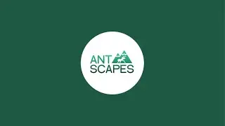 Quick catch up, quick ecosystem reveal