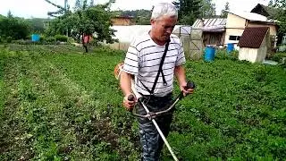 (18+)Не нагибаясь, прополка картошки, 10гек🤣🤣🤣