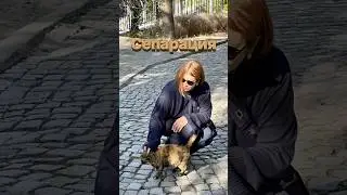 Сепарация 