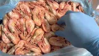 Креветка гренландская 5 кг 70/90