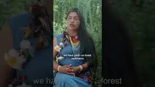 Forests in Ecuador - Climate Action Explained