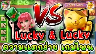 เลดี้โคเวอร์ vs แมว สล็อตpg สล็อตแตกง่าย สล็อต แตกหนัก ทุนน้อย