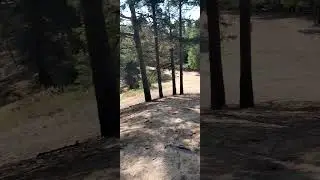 парк 24г