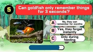 Can you Guess this is Fact or Myth about Animal