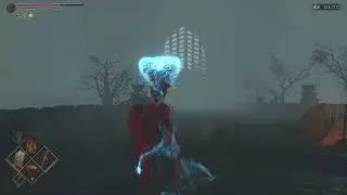 Help a friend to gain pure White Character Tendency in Demon's Souls