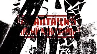 АДАПТАЦИЯ - 