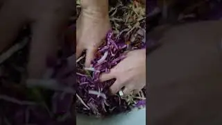 Spicy Curtido 