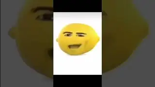 1 minute of memes from my discord server! #memes