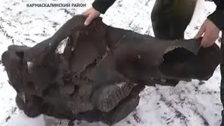 Около села Старые Киешки Кармаскалинского района нашли череп Мамонта