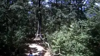 Flying through the DHFinals