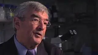 Kill or Cure - The Forgotten Diseases - Trailer