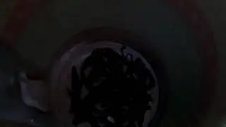Пионена