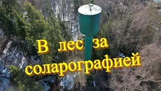 В лес за годовалой соларографией