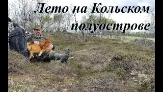 Лето на Кольском. Две ночи в тундре. Ищу собаку. Тепловой удар
