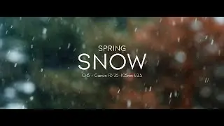Spring Snow (HD) (GH5 + Canon FD 35-105mm f/3.5 Vintage Lens)