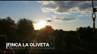 Cómo usar un dron: Finca La Oliveta Vuelo de dron en Jornadas AJE  Malagón