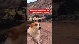 #рудомайн