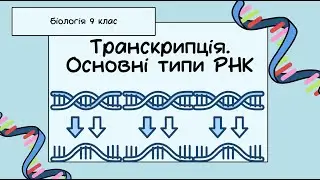 Біологія 9 клас  Транскрипція  Основні типи РНК