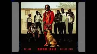 SAVARA - Savage level (Official Audio)