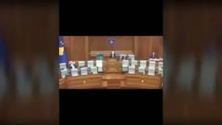 Mishi i prishur "Arrin" në Kuvendin e Republikës së Kosovës