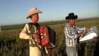 no me hagas menos - el chacal de la sierra
