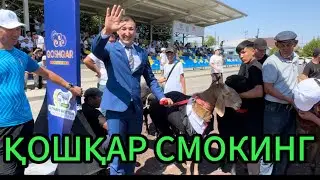 Түркістан облысы ҚОЙ КӨРМЕСІ-6 ТІС ҚОШҚАРЛАР