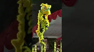 Witness the Thrilling Performance of the Singapore Lion King at Ngee Ann City
