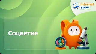 Соцветие. Видеоурок по биологии 6 класс