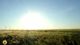 Relaxing Music | Background Music | Harp Music | Stress Relief | Relaxation | Deep Sleep