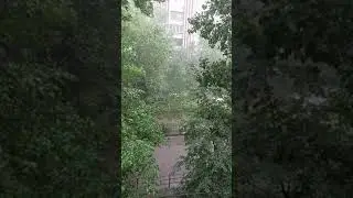 24 июня 2021. Ливень с градом в Самаре 🌧 34С° Безымянка. Голубь под дождём)) 🕊