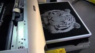 P4290A Epson printer print on dark t shirt tiger