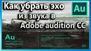Как убрать эхо из звука в Adobe audition CC нормализованный звук #2