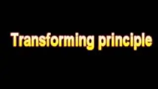 What Is The Definition Of Transforming principle