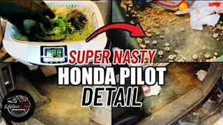 Most DISGUSTING Honda Detail EVER! | ASMR Interior Detailing